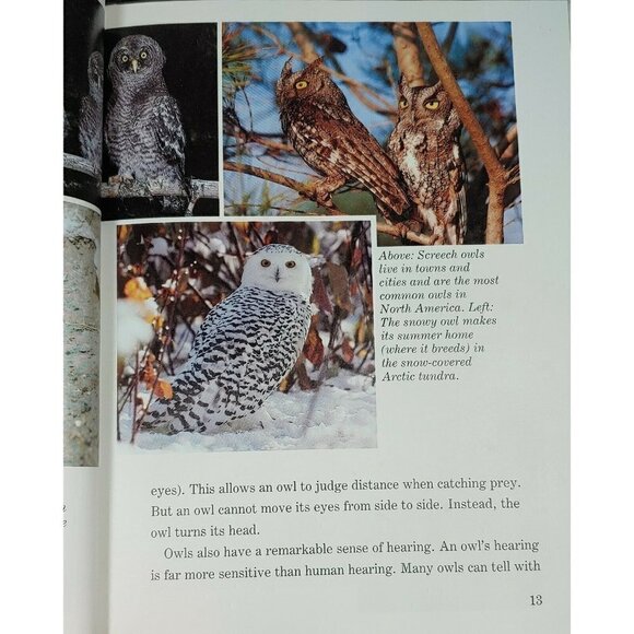 Disney's Year Book 1993 Picture Learning Comic Young Adults Hardcover Book - Picture 4 of 12